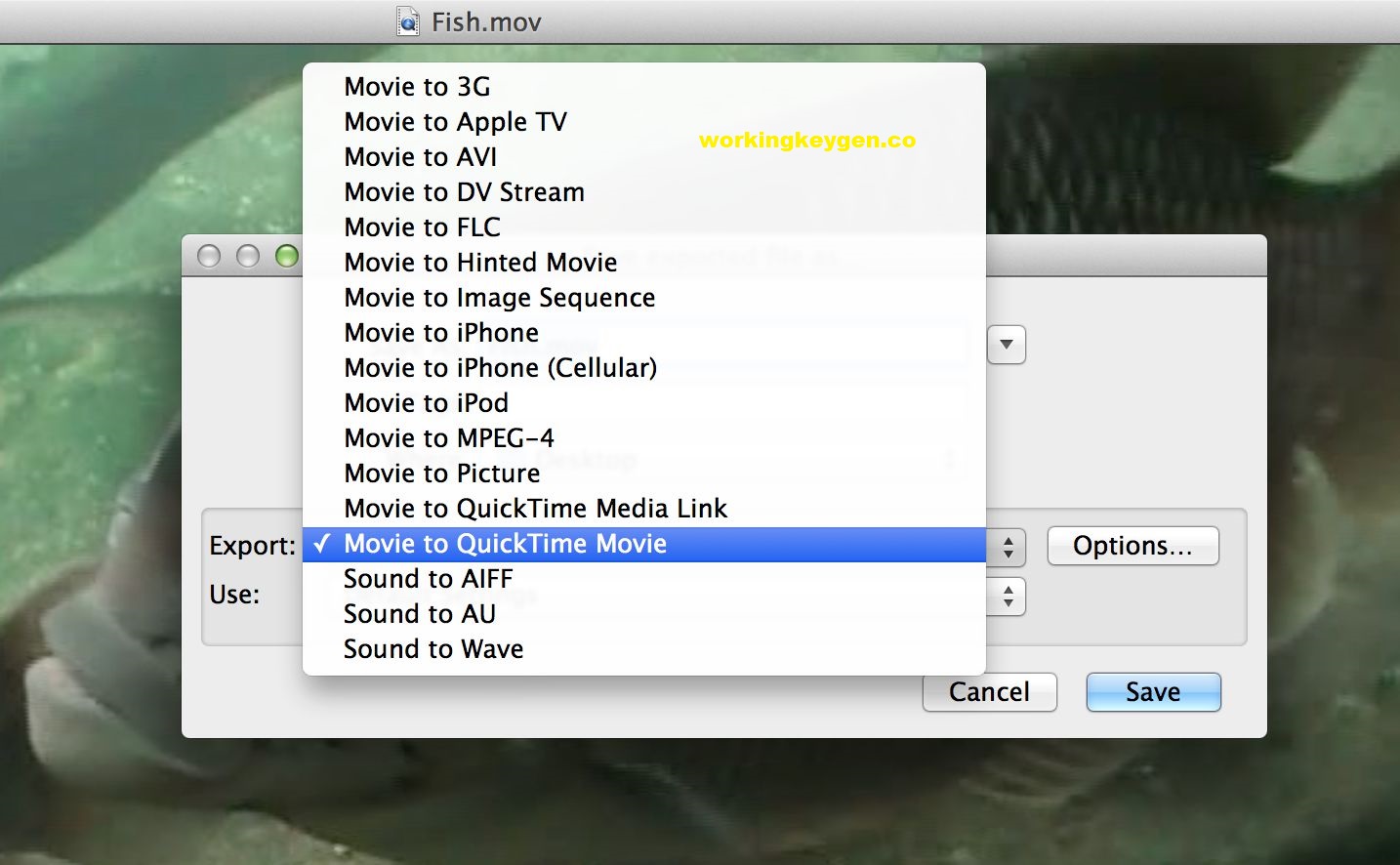 QuickTime Player 7 for MacOS