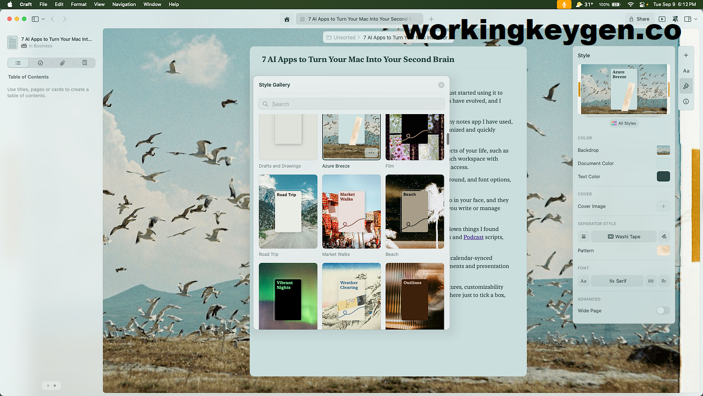 Second Brain Software