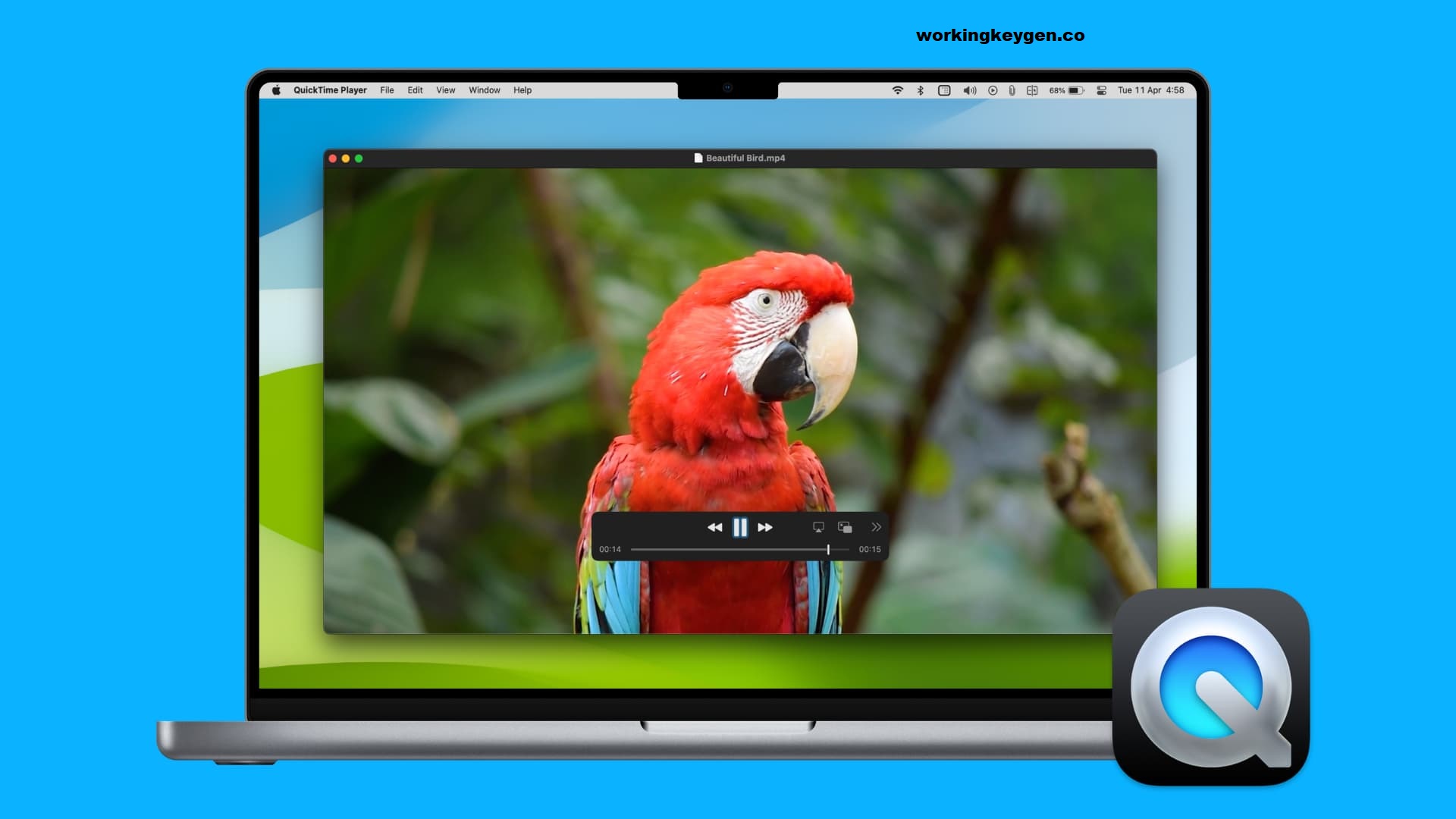 QuickTime Player 7 for MacOS