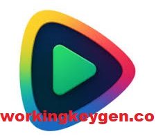 Auto Color Grading AI Tools