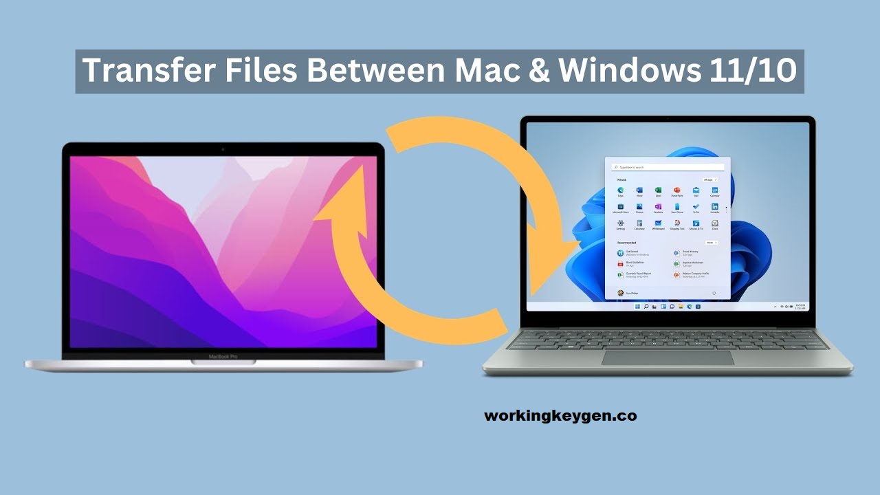 Top File Transfer Software For Mac And Window