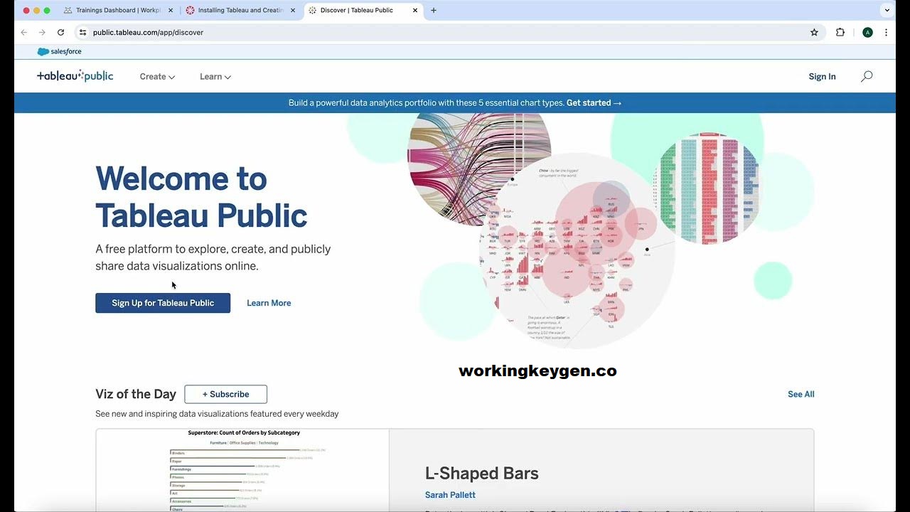 Tableau Public for Intel macOS