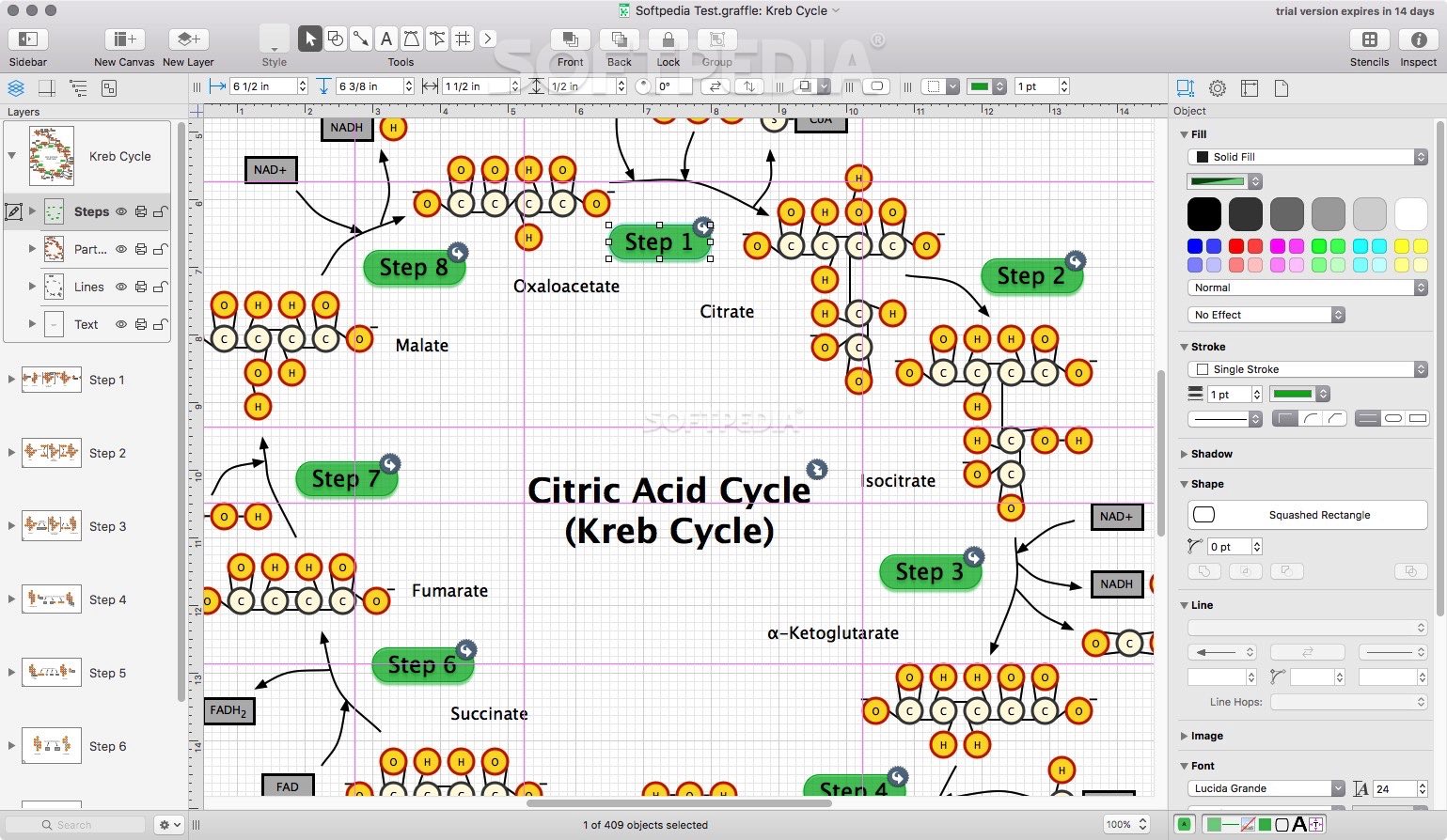 OmniGraffle Pro For MacOS